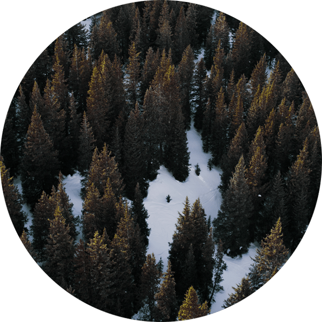 v-sh-sl-3-circle-new-1.png